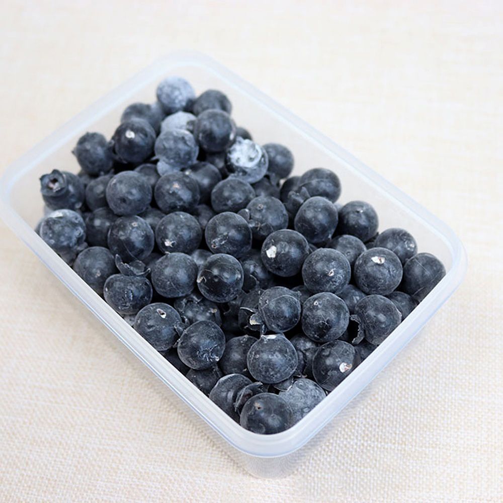 20PCS High Simulation Fruit Pl - Photography Simulator ulasan dan harga