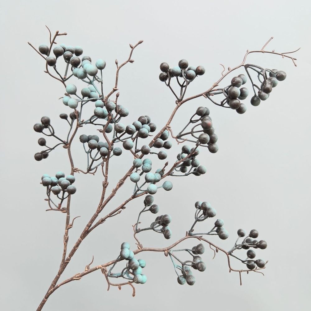 Decorative Simulation Berry Br - Photography Simulator ulasan dan harga