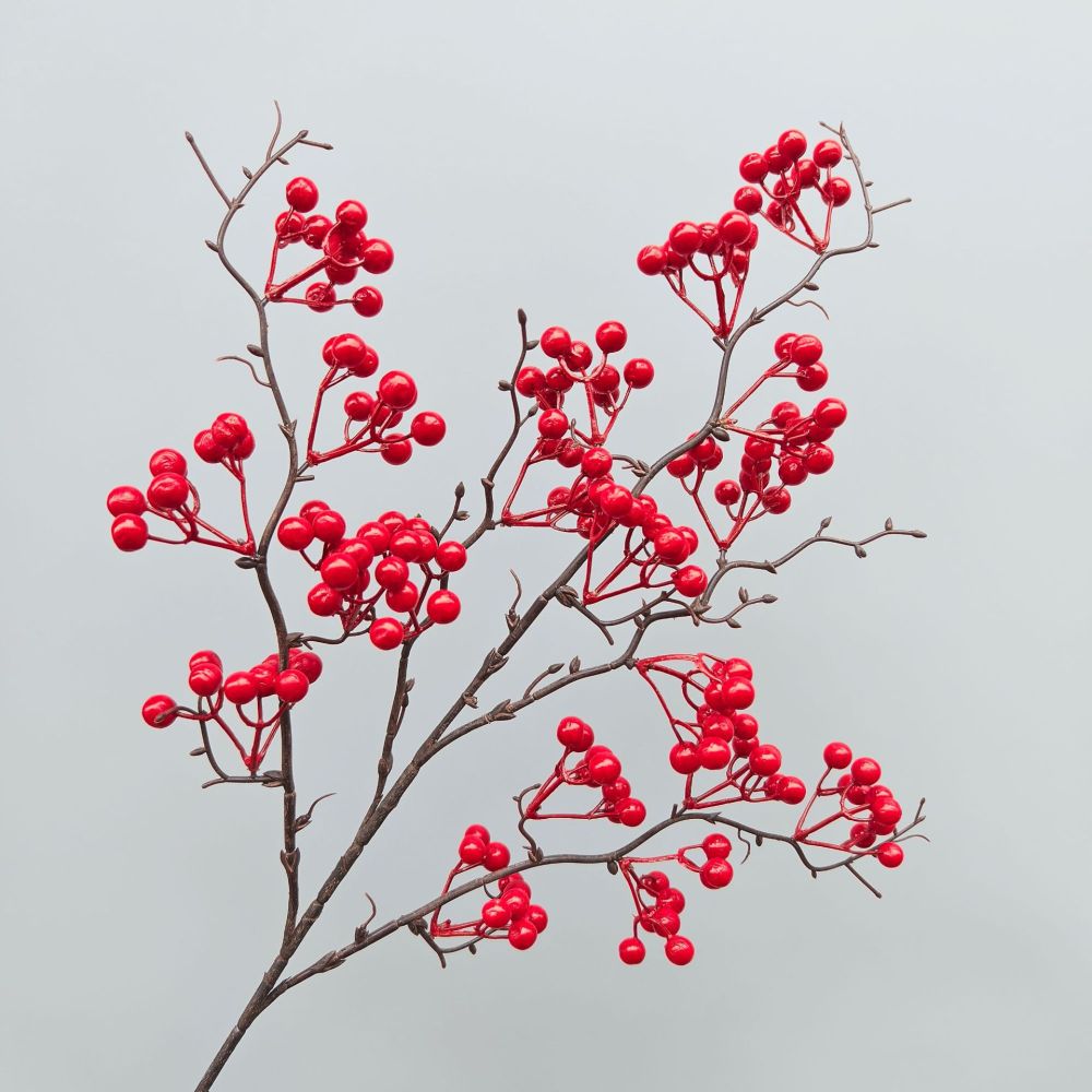 Decorative Simulation Berry Br - Photography Simulator ulasan dan harga