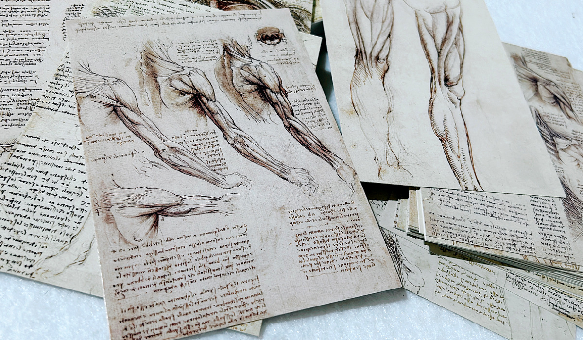 30Sheets/Lot Leonardo Da Vinci - Photography Types ulasan dan harga