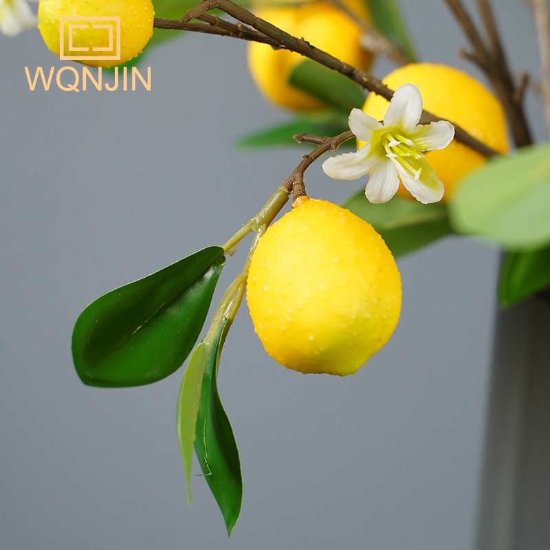 Lemon Branches With Fruit Simu - Photography Simulator ulasan dan harga