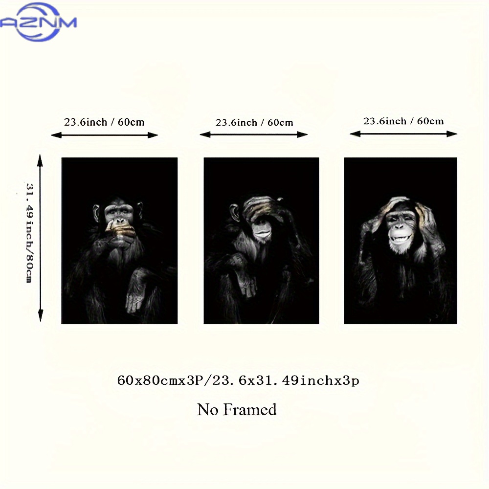 3pcs/set Big Size Unframed Ret - Photography Black And White ulasan dan harga